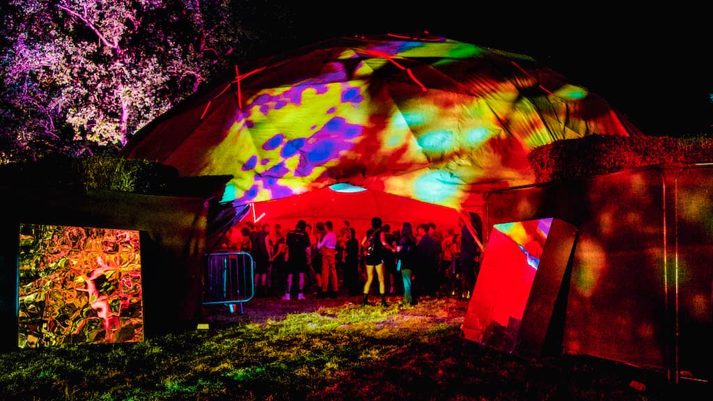 Field Maneuvers Festival Marks a Decade of Dance: Exciting Lineup and Collaborations Set to Shine